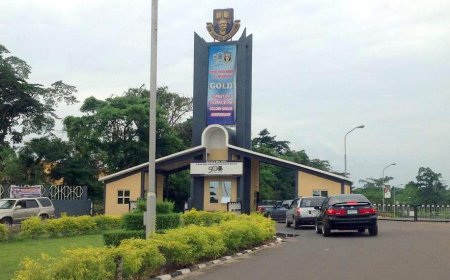 OAU students protesting Wike’s presence not arrested — Management