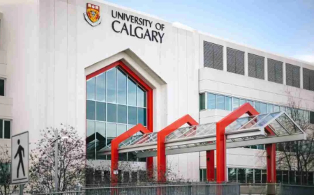 2025 University of Calgary Entrance Scholarship in Canada | How to Apply