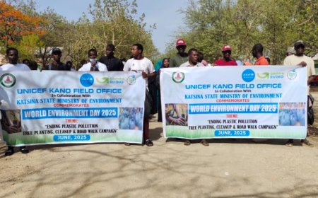 UNICEF, Katsina engage youths in tree planting