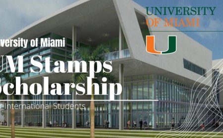2025 University of Miami Stamps Scholarship in United States | Fully Funded