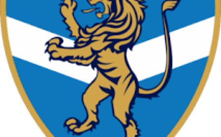 Italian club, Brescia, goes bankrupt