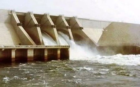 Flood: Zulum urges FG to fast-track Alau Dam expansion
