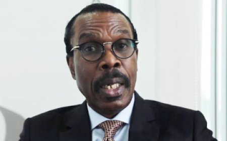 Naira to stabilise at N1,600–N1,650/$ – Rewane