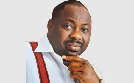 Only coalition can unseat Tinubu in 2027 — Dele Momodu