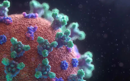 Study reveals how COVID-19 virus continues to evolve