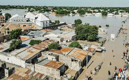 49 killed in South Africa flooding, children missing
