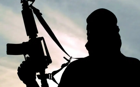 Gunmen kill 8, raze houses in Plateau community attack