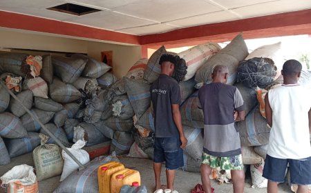 NDLEA seizes 2,687 tonnes of cannabis in C’River