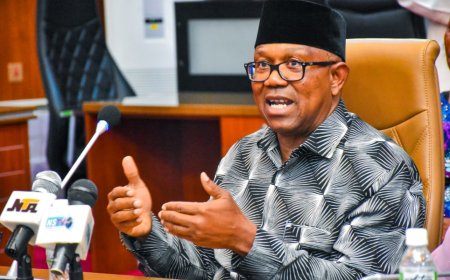 Nigeria no longer a democracy, Peter Obi declares
