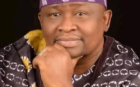 SENATOR SOLOMON OLAMILEKAN ADEOLA AND THE PASSPORT FOR HIGHER SERVICE