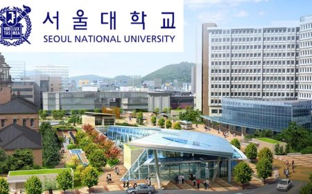 Seoul National University Scholarship 2026 in South Korea | Fully Funded