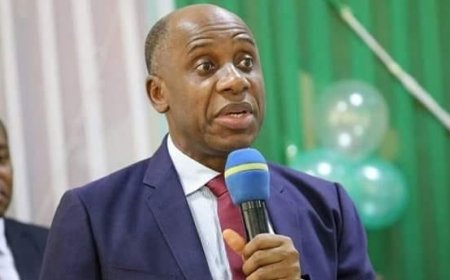 Amaechi’s attack on Tinubu about power grab – Presidency