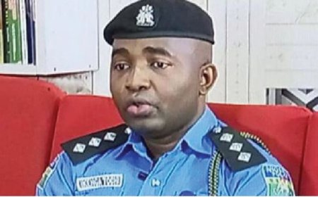 Police arrest man for stealing cables in Anambra