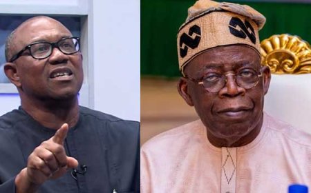 Peter Obi blames leadership failure for Benue killings