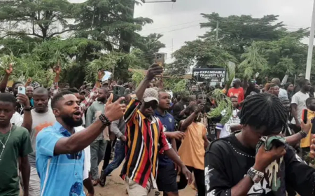 Benue Killings: ‘They’re too busy with 2027 politics to fix security’ – PRP slams FG