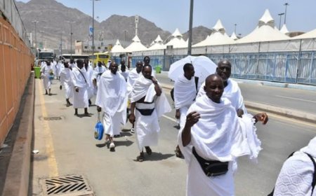 Over 6,500 Nigerian pilgrims return from Hajj – NAHCON