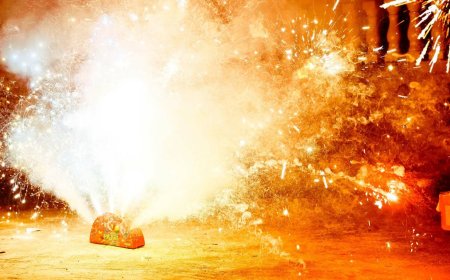 Nine dead, 26 injured in China fireworks factory blast