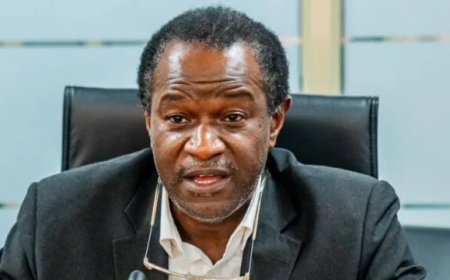 Loan application process now fully digitised – NELFUND