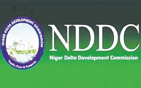 NDDC alerts public to fake youth empowerment scheme