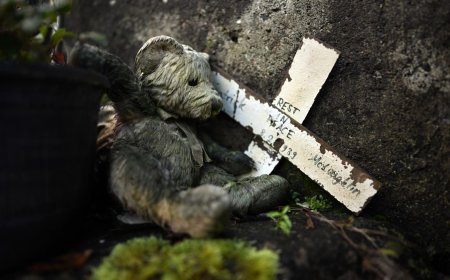 796 babies feared buried in septic tank at Catholic-run home for unwed mothers