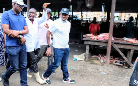 Lagos threatens to shut Oko-Oba abattoir over unhygienic practices, environmental infractions