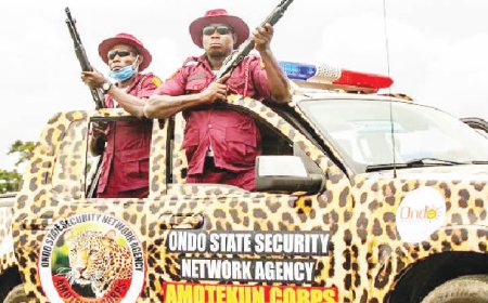 Ondo group seeks Amotekun upgrade to state police