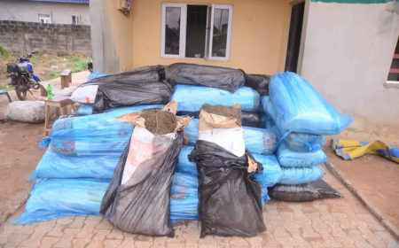 Ondo Police arrest 17-year-old, one other for alleged drug trafficking