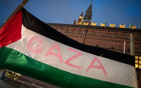 Israeli forces kill 60 in Gaza