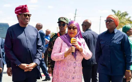 You’re a visionary leader’ – Tanzania President celebrates Adesina’s impactful legacy at AfDB