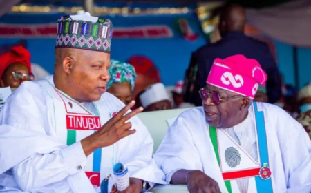 2027: Igbo group backs Tinubu/Shettima presidential ticket
