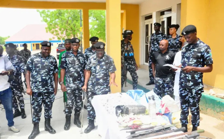 Police arrest 210, seize drugs, weapons in Borno