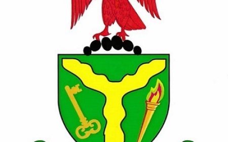 Convict passport scandal: FG panel suspends two officers, probes inmate