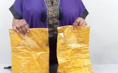NDLEA arrests makeup artist, student for drug peddling