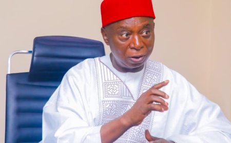 Delta North APC divided over Nwoko’s 2027 endorsement