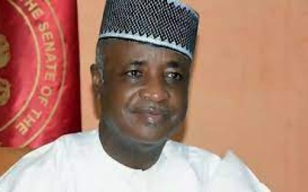 Wamakko disowns 2027 VP ambition