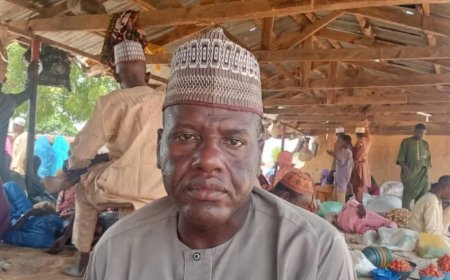 Meet Professor who sells vegetables