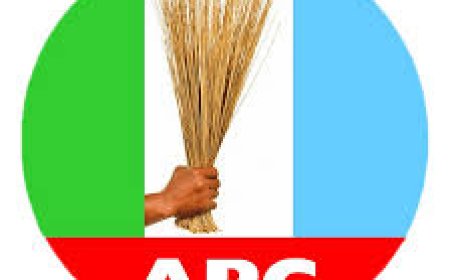 Internal crises blamed as PDP, LP lawmakers join APC