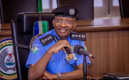 53 suspects arrested for Benue, Plateau killings for arraignment– IG