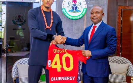Enugu gov appoints Super Eagles’ goalie Okoye as state ambassador