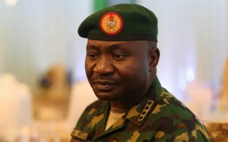 Army loses 17 soldiers after killing scores of bandits in ‘failed’ Niger state attack
