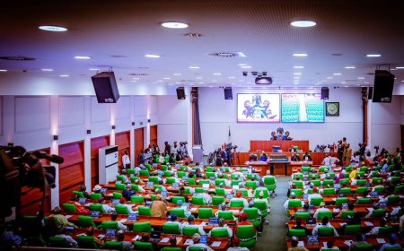 Reps probe police over alleged N6bn contract splitting, asset sales