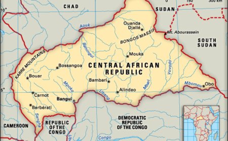 Transformer explosion sparks stampede, kills 29 students in CAR