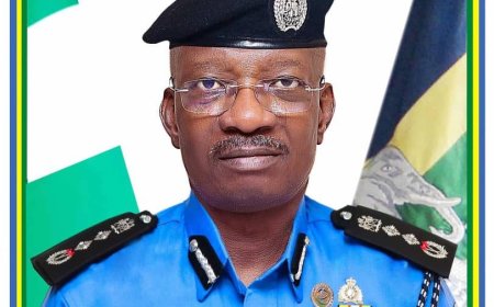 IG probes officer’s N2m retirement pay claim in viral video