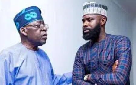 I worked for almost two years without a sit-down with President  —  Tinubu’s ex-aide