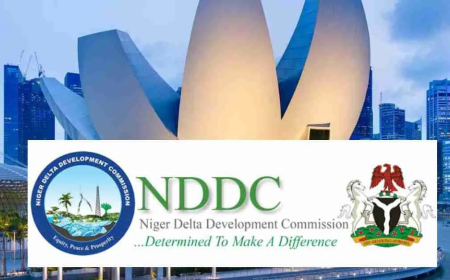 NDDC Local Masters Scholarship 2025/26 for Nigerians | Fully Funded