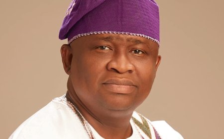 Senator Solomon Adeola: A Visionary Lawmaker Poised For Greater Impact In Ogun
