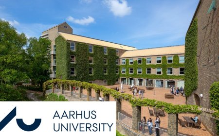 Danish Government Scholarship at Aarhus University 2026 | Fully Funded