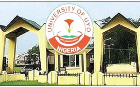 Minister orders UNIUYO to revise VC advert amidst strike threat