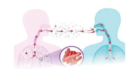 Over 50,000 Nigerians test positive for Tuberculosis – Global Fund