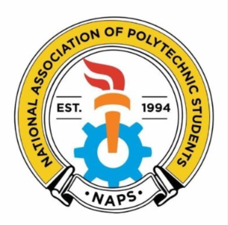 Allow polytechnics to award degrees, NAPS urges Tinubu, NASS